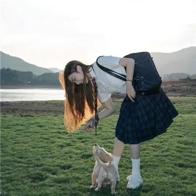 归来燕